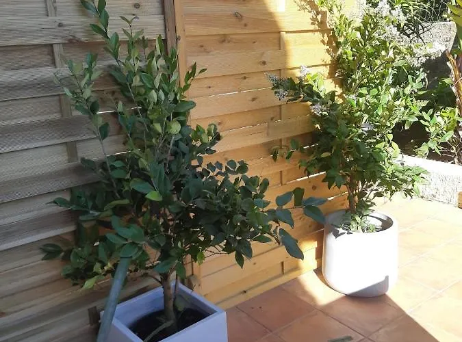 Casa vacanze Exclusive Loft Con Piscina Dal Picciotto Marsala